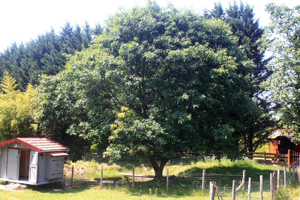 Roulotte Irlandaise Polly Otel Saint-Vincent-en-Bresse Dış mekan fotoğraf