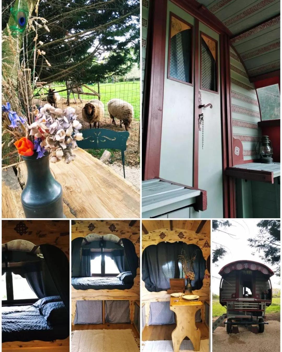 Roulotte Irlandaise Polly Otel Saint-Vincent-en-Bresse Dış mekan fotoğraf