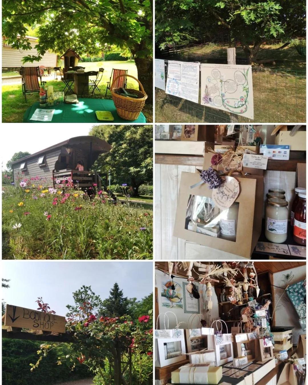 Roulotte Irlandaise Polly Otel Saint-Vincent-en-Bresse Dış mekan fotoğraf