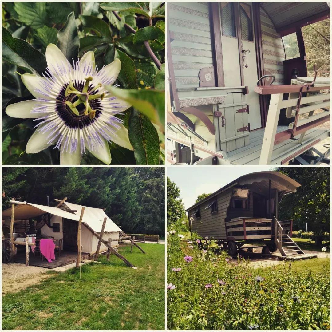 Roulotte Irlandaise Polly Otel Saint-Vincent-en-Bresse Dış mekan fotoğraf