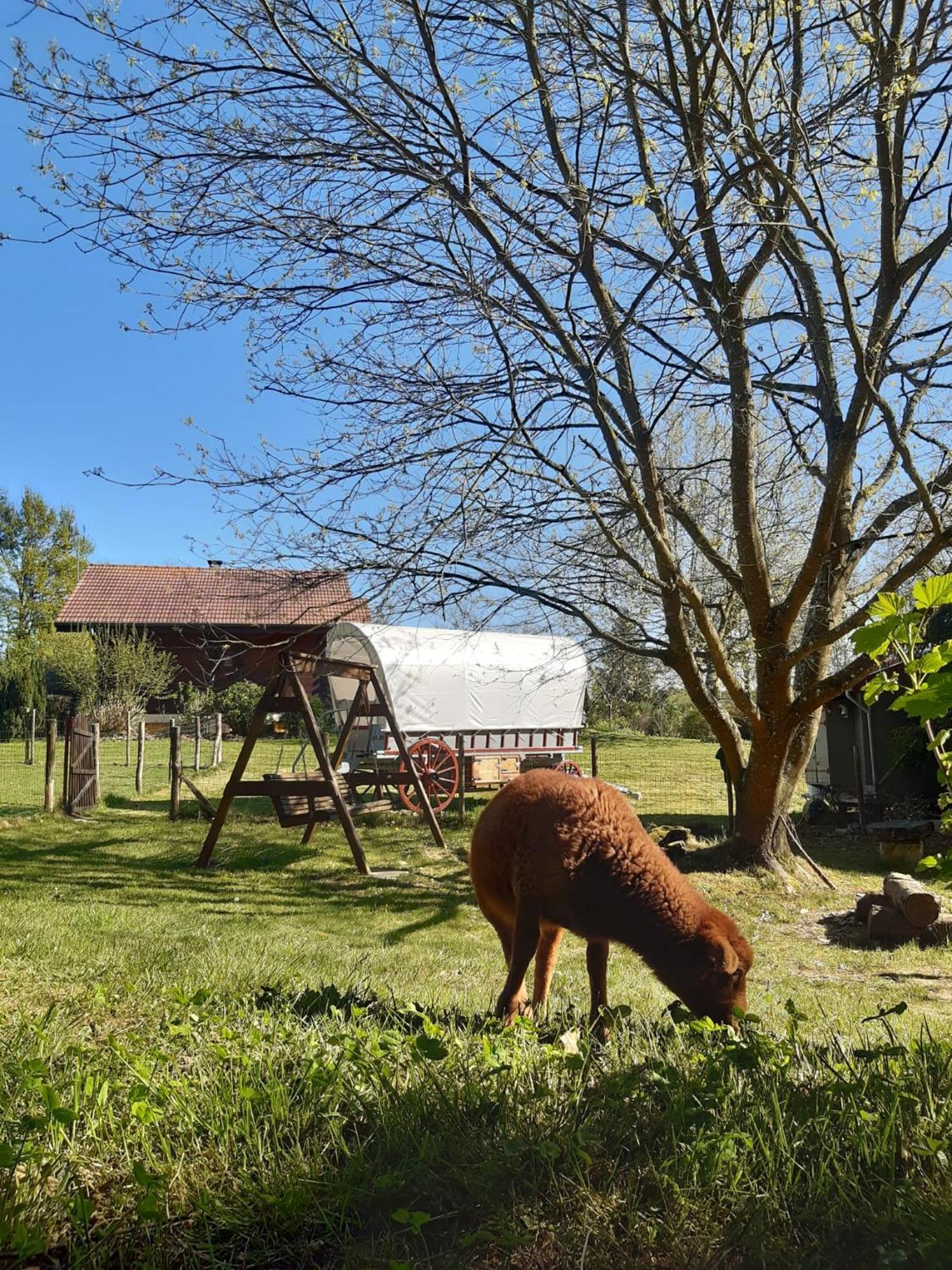 Roulotte Irlandaise Polly Otel Saint-Vincent-en-Bresse Dış mekan fotoğraf