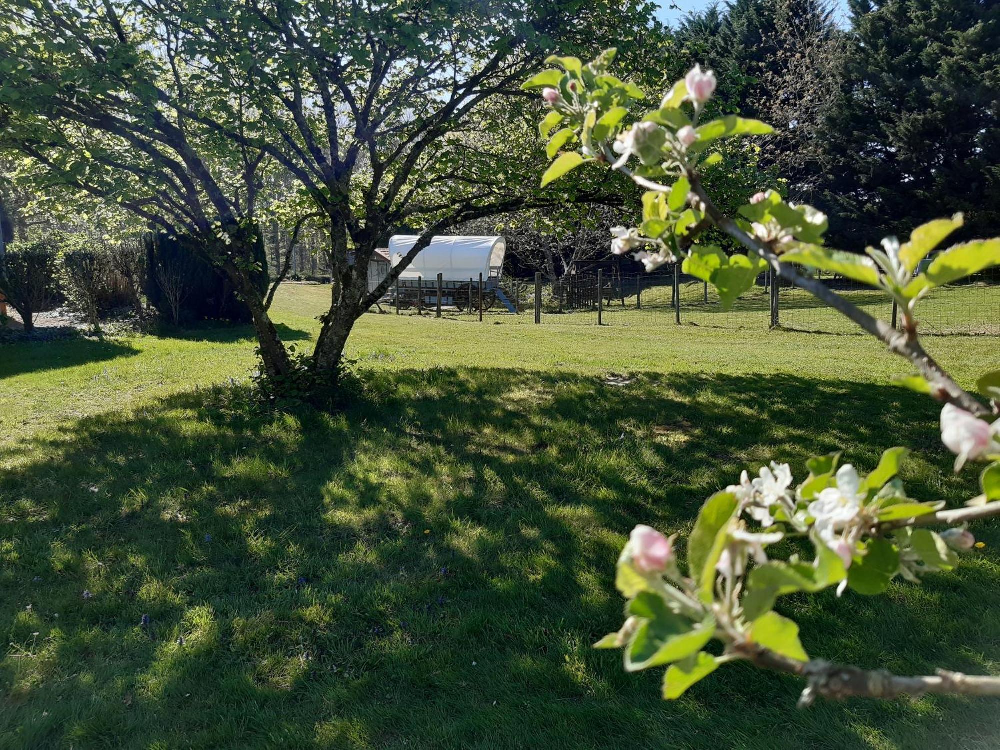 Roulotte Irlandaise Polly Otel Saint-Vincent-en-Bresse Dış mekan fotoğraf